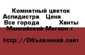 Комнатный цветок Аспидистра › Цена ­ 150 - Все города  »    . Ханты-Мансийский,Мегион г.